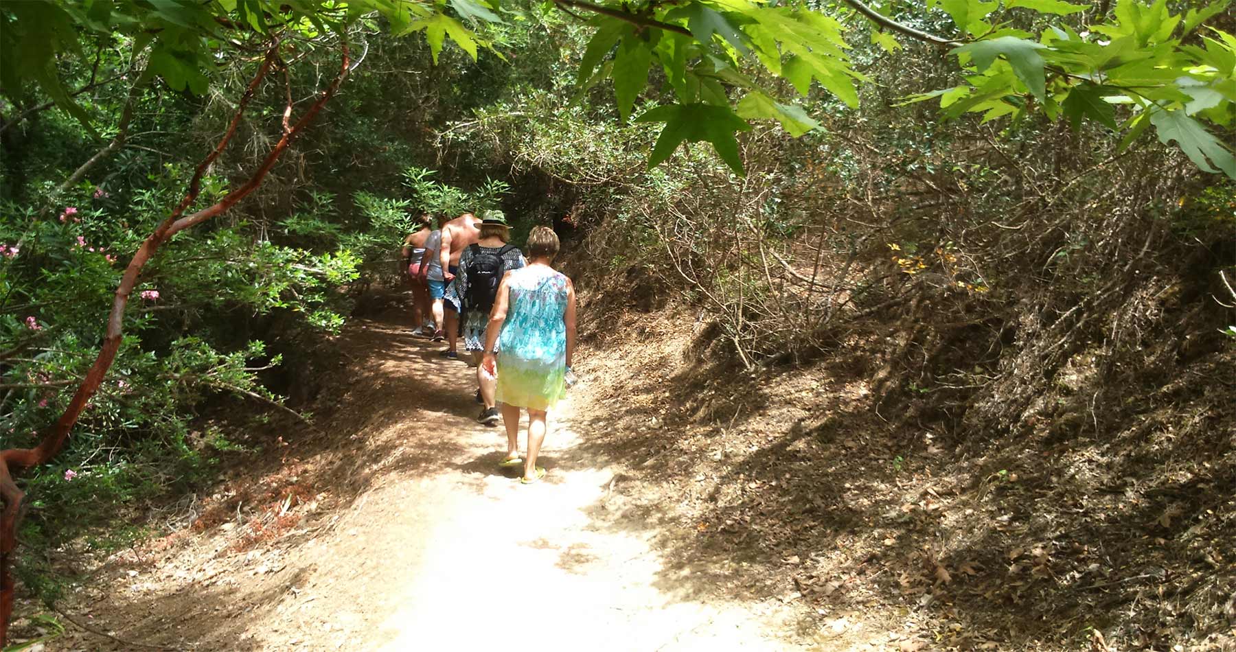 rhodes experiences seven springs hike 2
